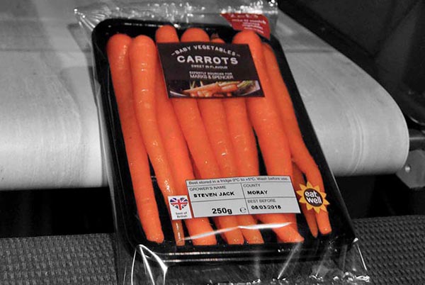 M&S carrot pack coming off the belt
